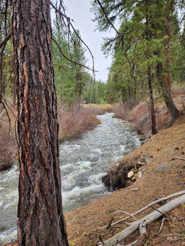 TBD Trinity Creek Road - Photo 1