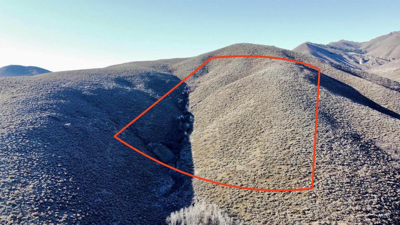 TBD Lees Gulch Rd - Photo 1