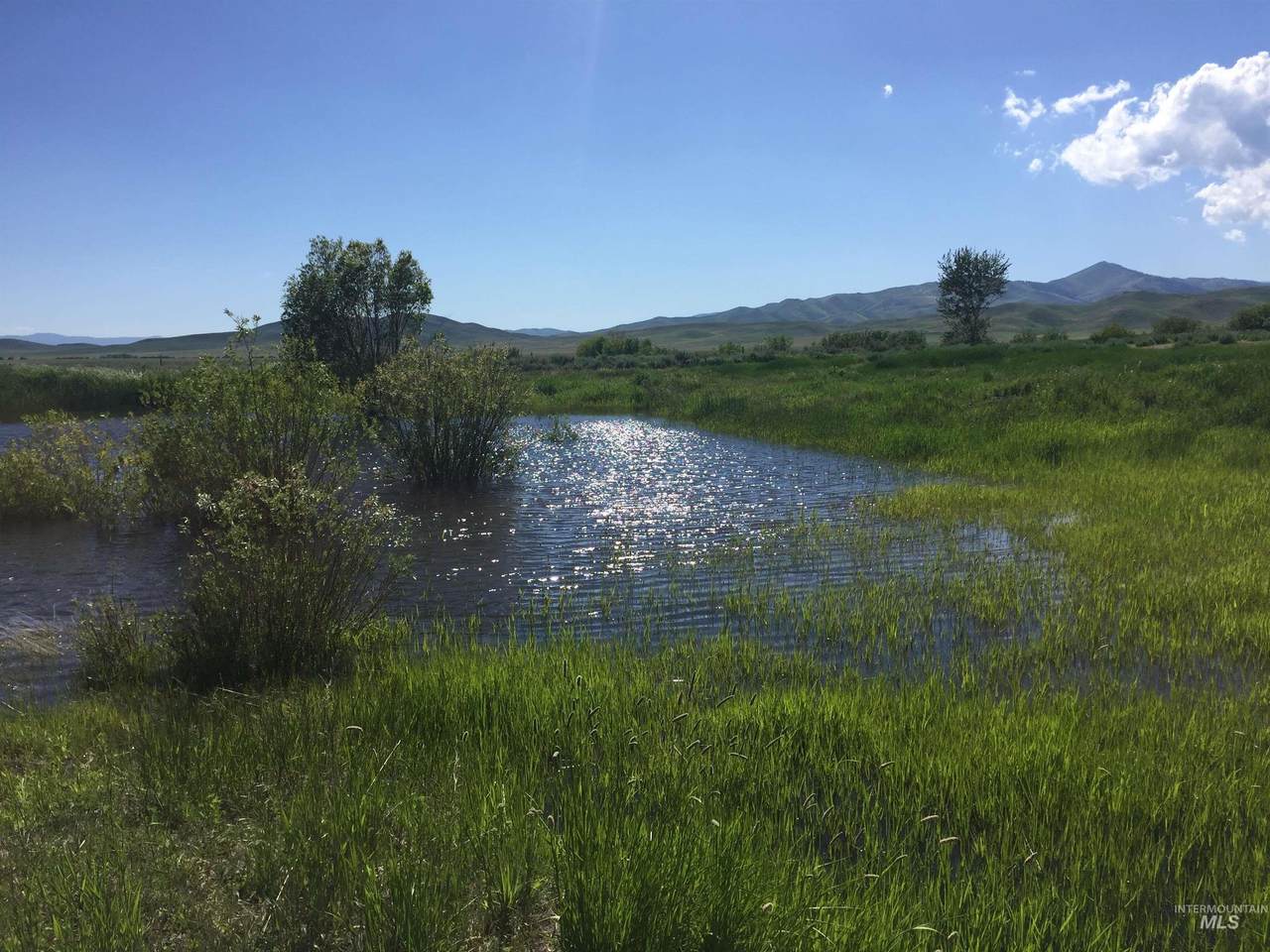 431N 470W 3 Mile Road - Photo 1