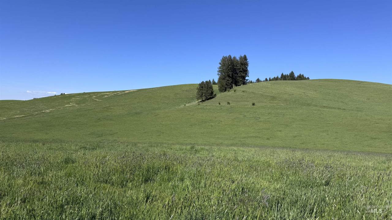 https://bt-photos.global.ssl.fastly.net/imls/1280_boomver_2_98961836-2.jpg