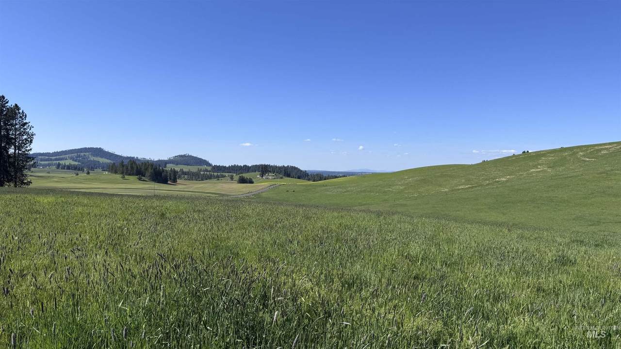https://bt-photos.global.ssl.fastly.net/imls/1280_boomver_2_98961836-2.jpg