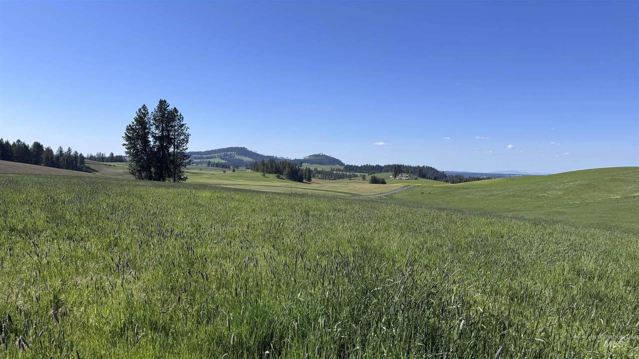 https://bt-photos.global.ssl.fastly.net/imls/1280_boomver_2_98961836-2.jpg