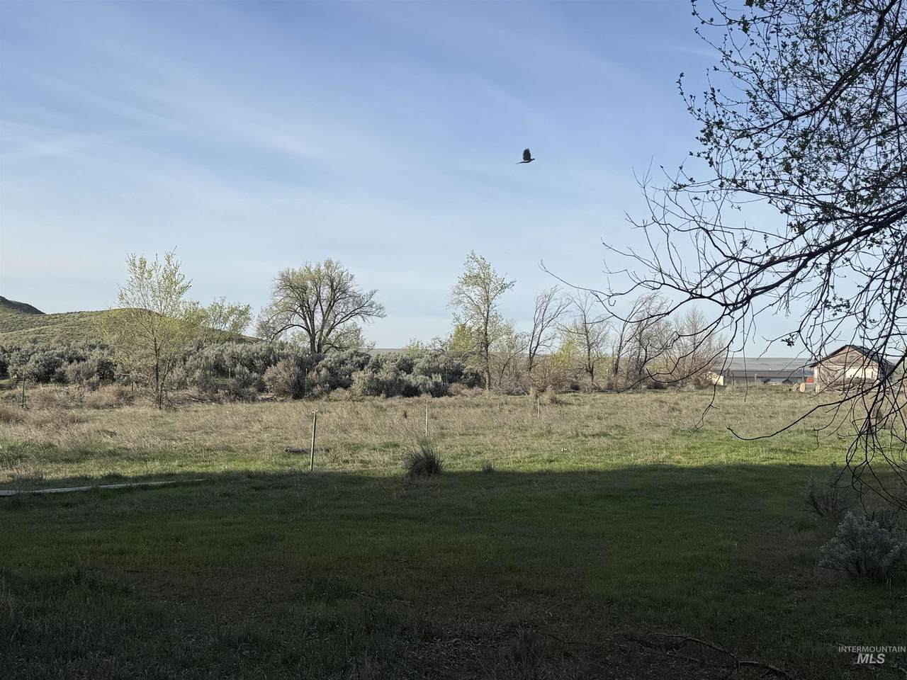 https://bt-photos.global.ssl.fastly.net/imls/1280_boomver_2_98973440-2.jpg