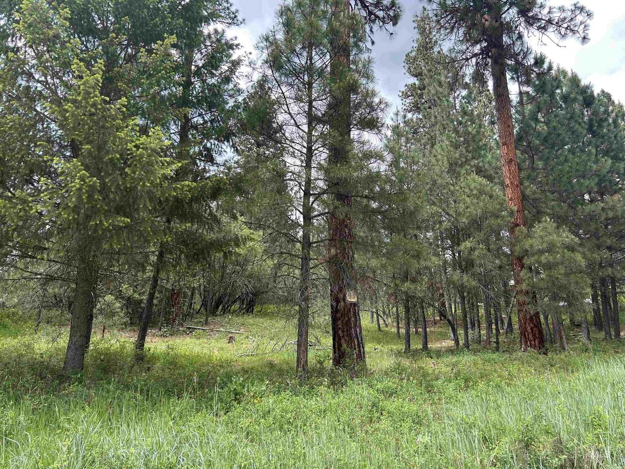 Lot 1 Card Creek, Casey Estates#3 - Photo 1
