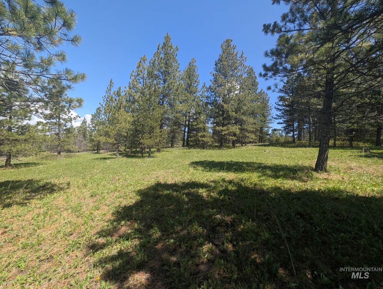 TBD Jackpine Rd - Photo 1