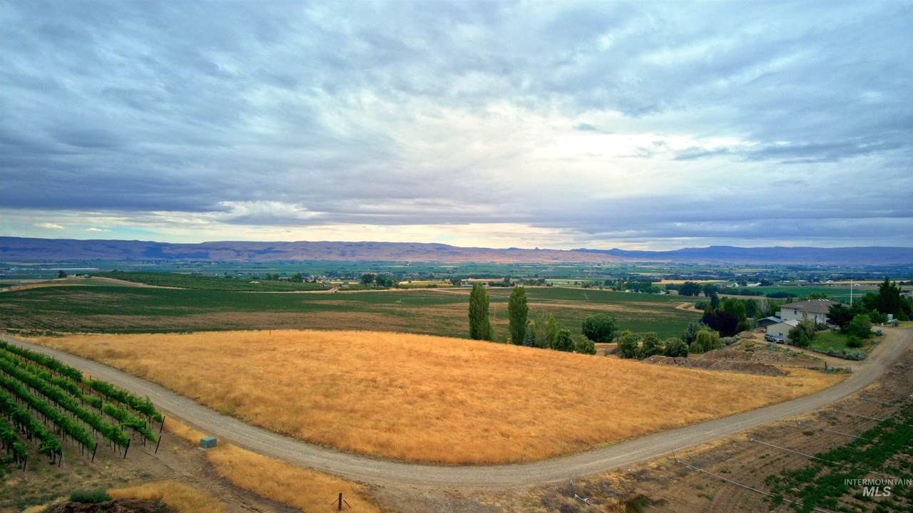 https://bt-photos.global.ssl.fastly.net/imls/1280_boomver_2_98991926-2.jpg