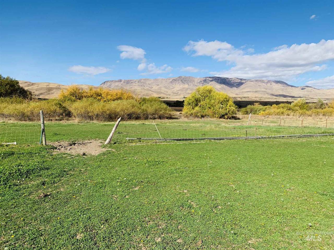 6501 Sweet Ola Hwy - Photo 1