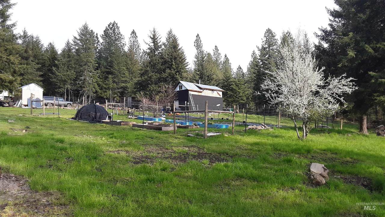 1668 Lukes Gulch Rd. - Photo 1