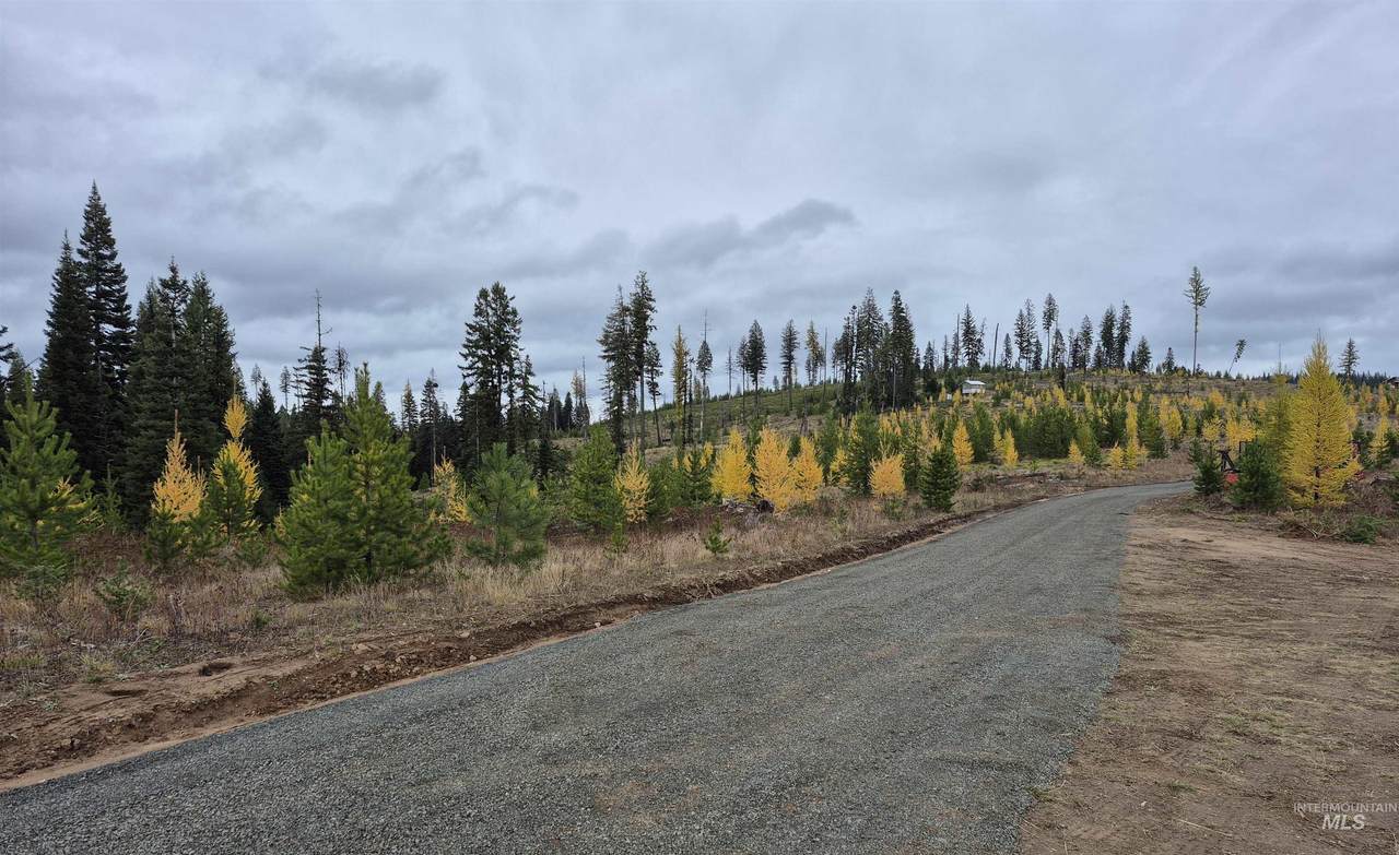 TBD French Gulch Rd Parcel 2 & 3 - Photo 1