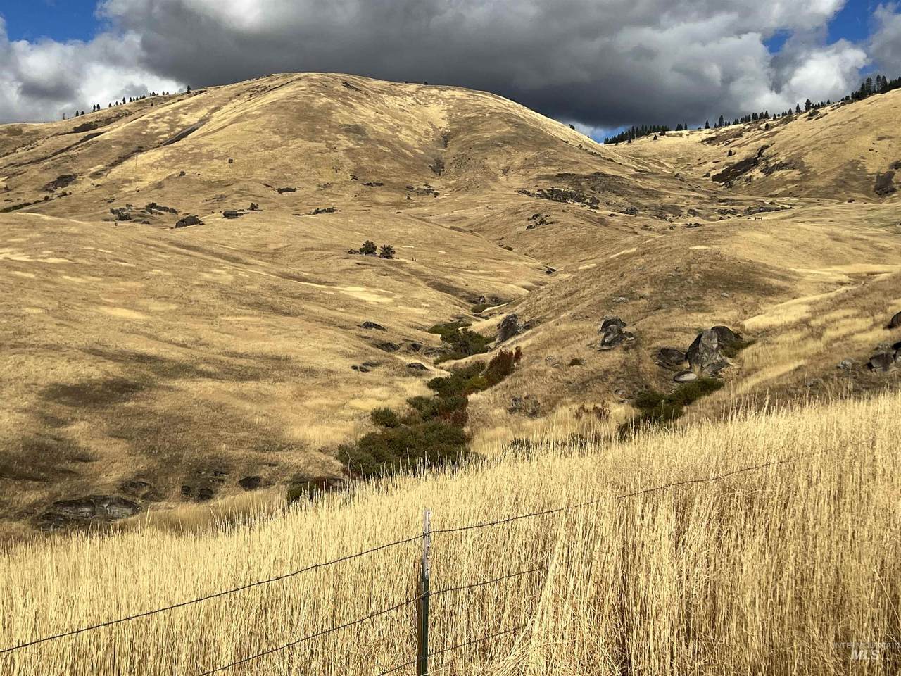 39 ac P-C Timber Butte Rd - Photo 1