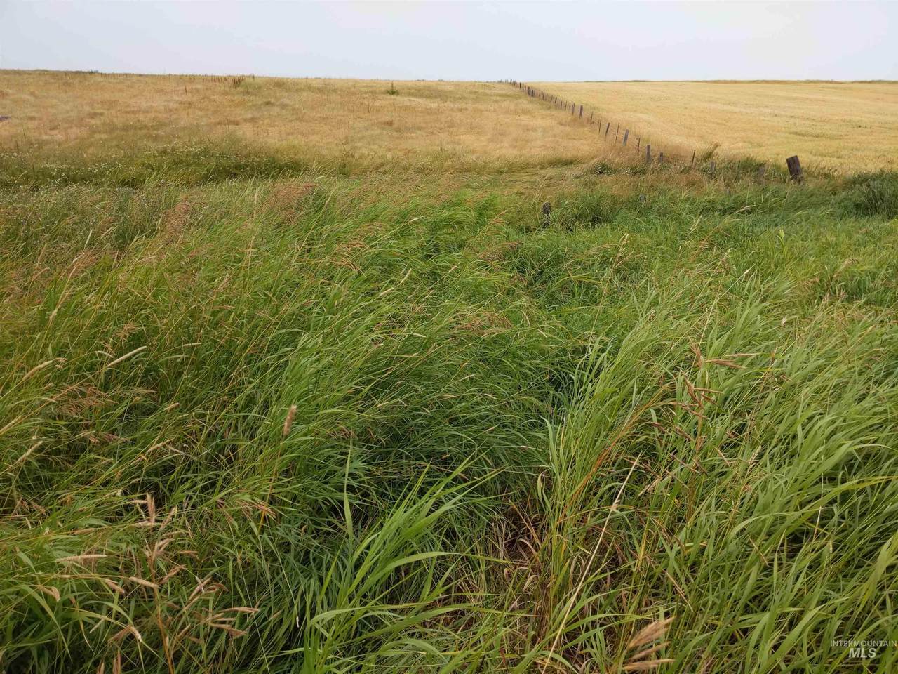 Lot 4 Creek View Lane - Photo 1