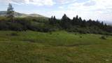 3661 Crane Rd. - Photo 20