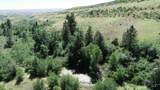 3661 Crane Rd. - Photo 23