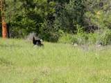 3661 Crane Rd. - Photo 30