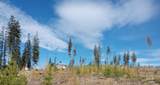 TBD French Gulch Rd Parcel #2 - Photo 23