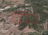 ±320 acres - Big Creek Meadows Ranch - Photo 15
