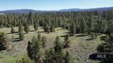 ±320 acres - Big Creek Meadows Ranch - Photo 6
