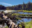 ±1812 acres Big Creek - Photo 4