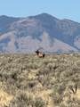 TBD Willow Creek Road - Photo 20