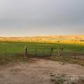 1841 Big Bend Rd - Photo 11