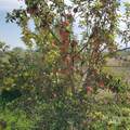 1841 Big Bend Rd - Photo 14