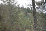 259 Cottonwood Creek Road - Photo 16