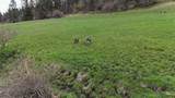 259 Cottonwood Creek Road - Photo 5