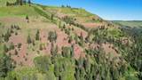 332 Wolf Fork Rd - Photo 24