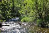 332 Wolf Fork Rd - Photo 27