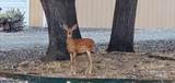 227 Doumecq - Photo 20