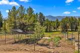 1897 Gold Dust Road - Photo 43