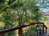 384 Race Creek Road - Photo 37