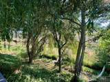 384 Race Creek Road - Photo 39