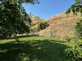 384 Race Creek Road - Photo 41