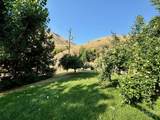 384 Race Creek Road - Photo 43