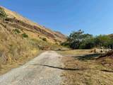 384 Race Creek Road - Photo 46
