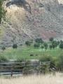 Salmon River Meadows Lots 61 & 62 - Photo 6