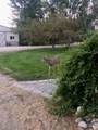 6856 Highway 55 - Photo 48