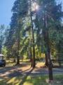 360 Clear Creek Rd - Photo 12