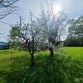 1120 State Street - Photo 13