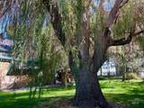 2827 1050 East - Photo 5