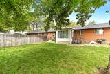 3109 & 3111 Tamarack Drive - Photo 6