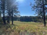 181 Harris Ridge Loop - Photo 8