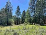 Lot 12 Star Creek Ct - Photo 28