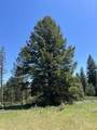 Lot 12 Star Creek Ct - Photo 29
