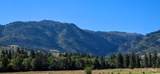 3496 Ward Rd - Photo 34