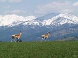  Ne Little Camas Reservoir Road - Photo 26
