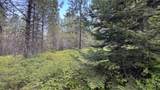 Parcel 19 Band Mill Loop Rd - Photo 41