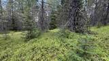 Parcel 19 Band Mill Loop Rd - Photo 43