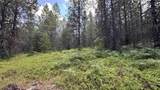 Parcel 19 Band Mill Loop Rd - Photo 45